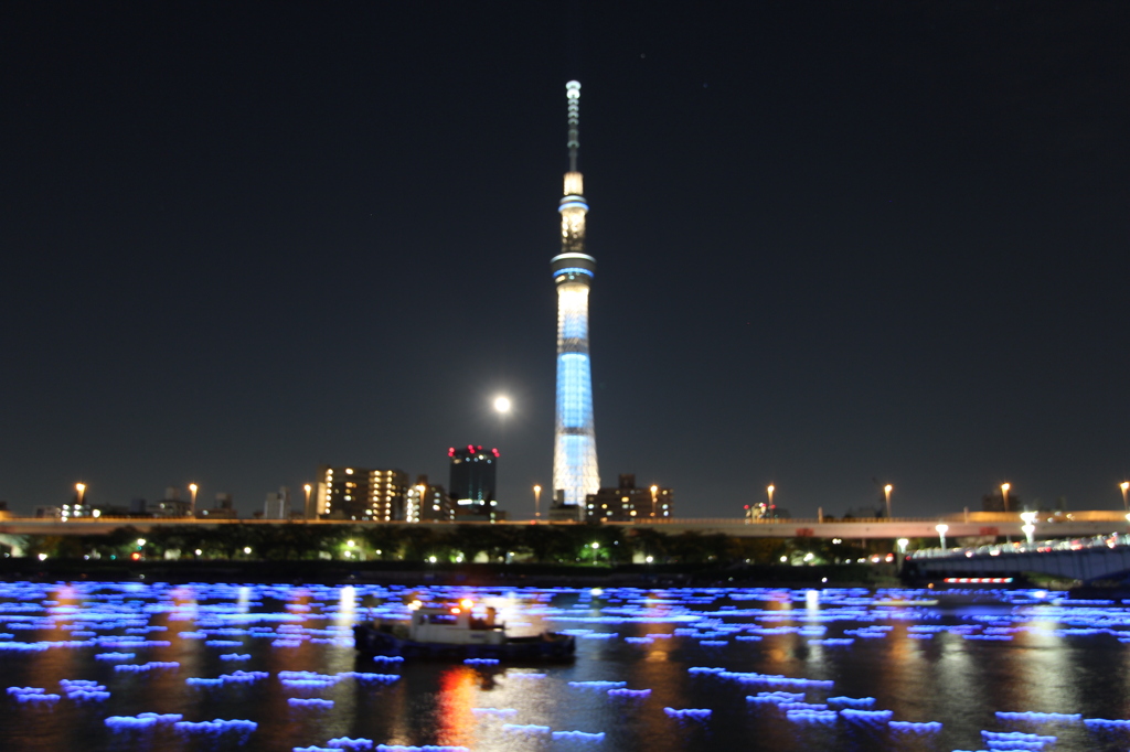 夜のスカイツリー｢東京ホタル」