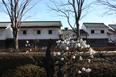 梅と旧家屋