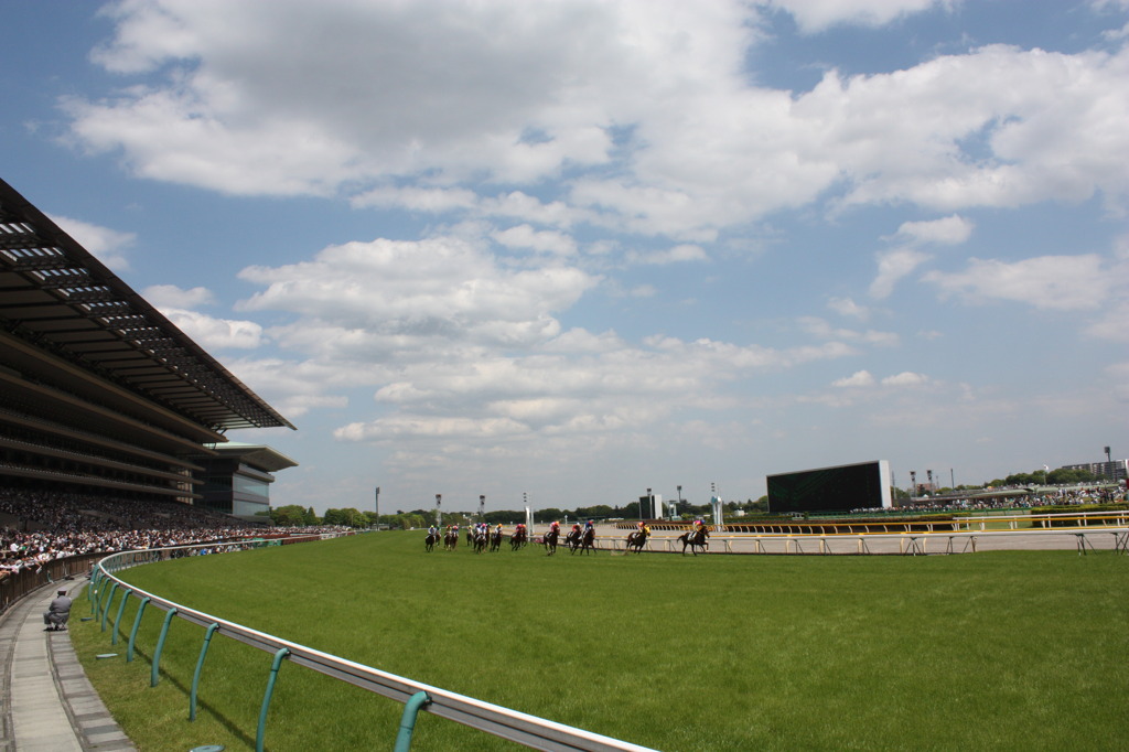 東京競馬場GⅠレース