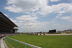 東京競馬場GⅠレース