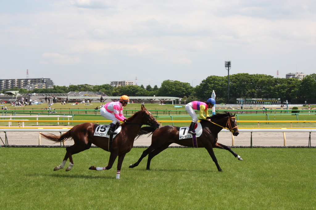 競馬ゴール後