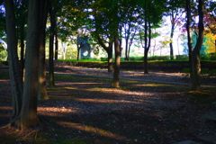 公園