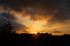 夕日