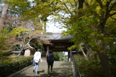 むーだい