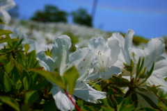 P1010786