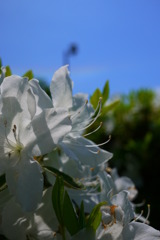 P1010787