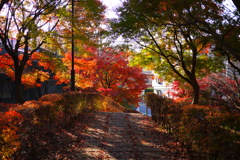 散歩道