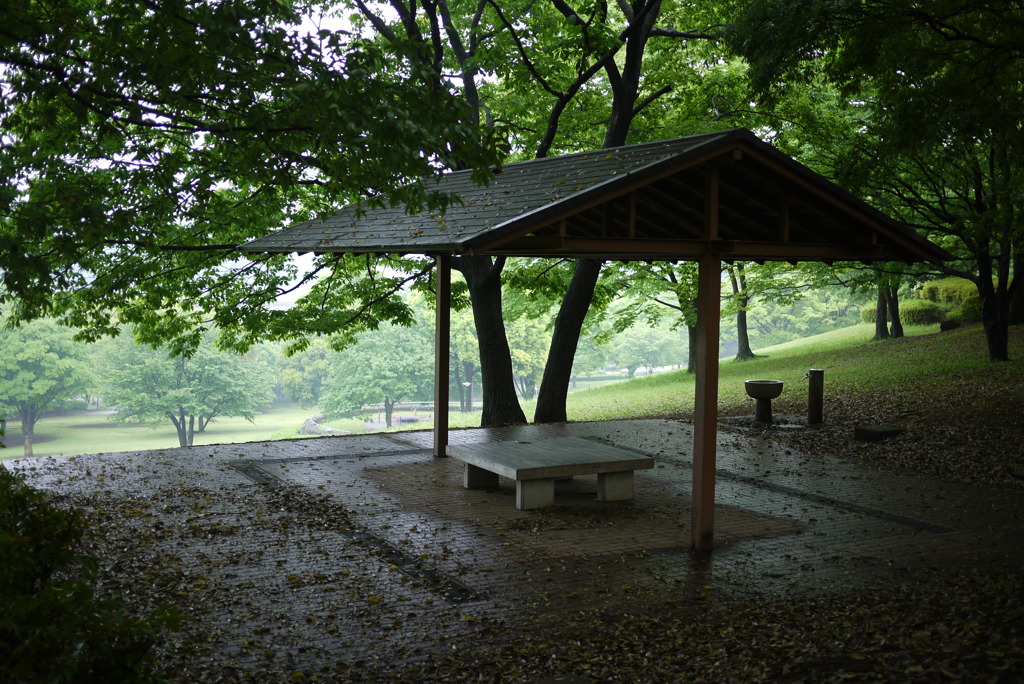 公園