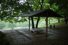 公園