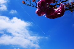 飛行機雲