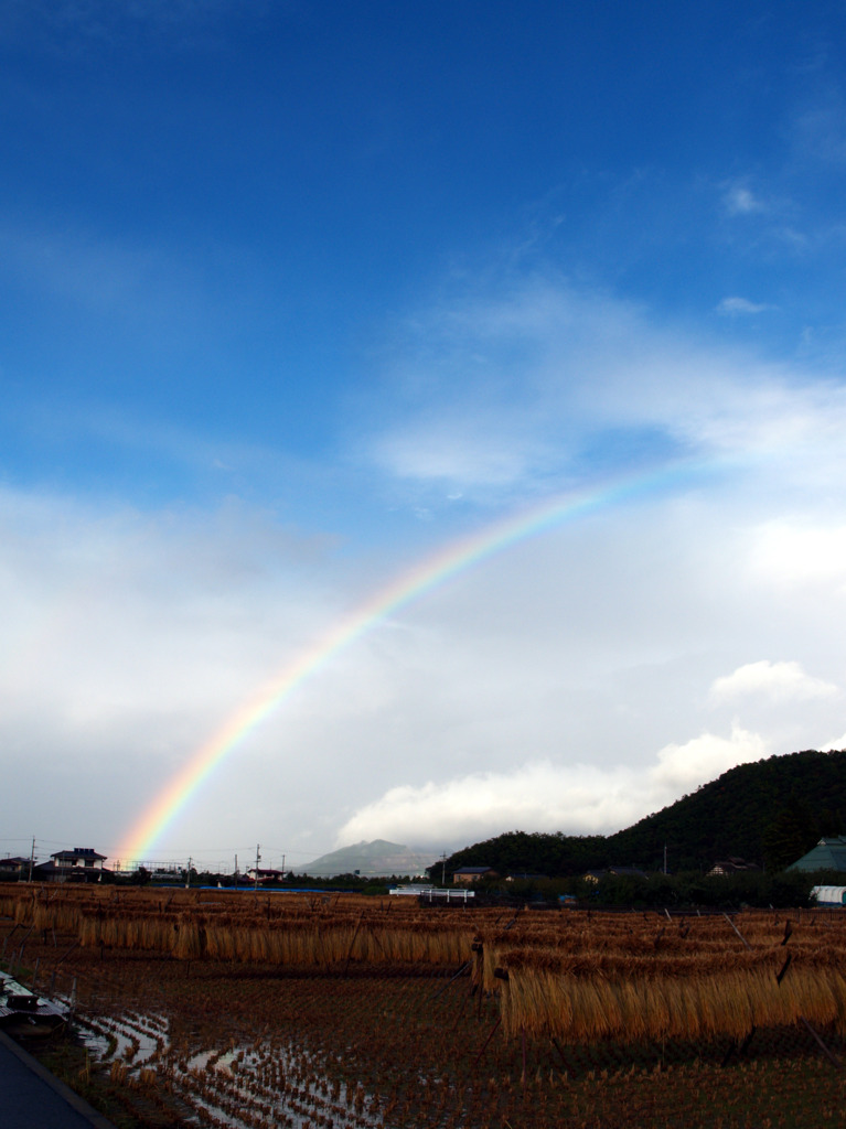 コダックブルーな青空、そして虹