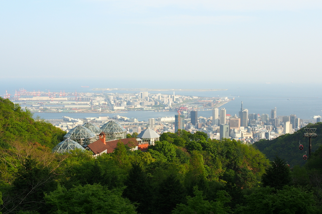 ハーブ園
