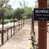 Beringer Winery Napa Vallery 9