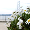 舞子公園