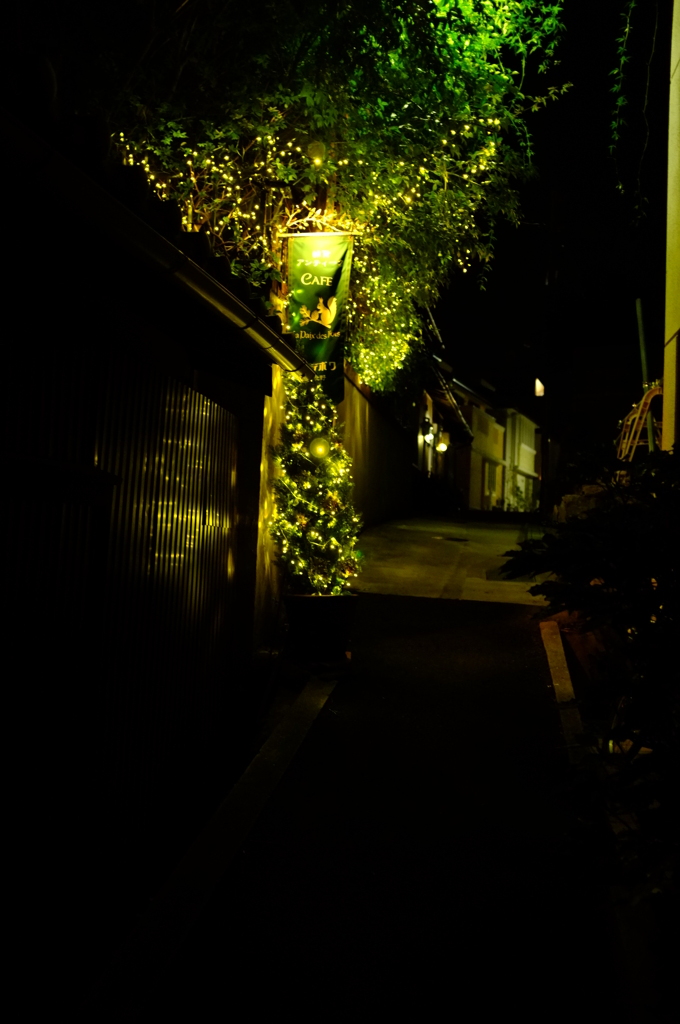 夜の小径
