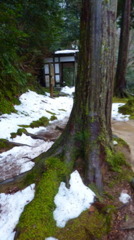 山中散歩の休憩所 山中散歩の休憩所