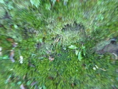 雨になった気分 雨になった気分