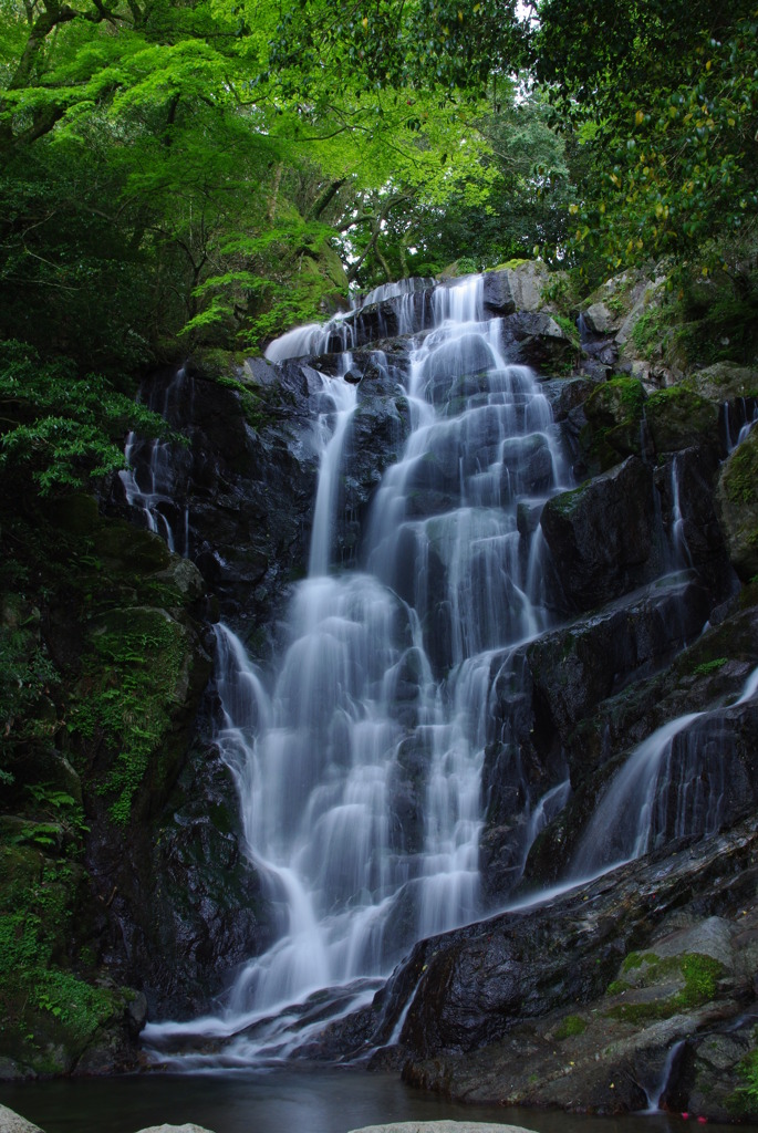 白糸の滝 その２