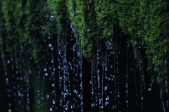 浄流水