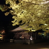 CIMG0233