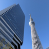 CIMG0453