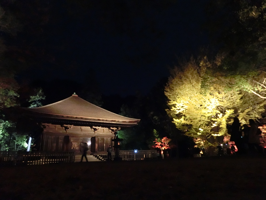 CIMG0206