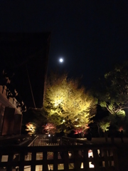 CIMG0218