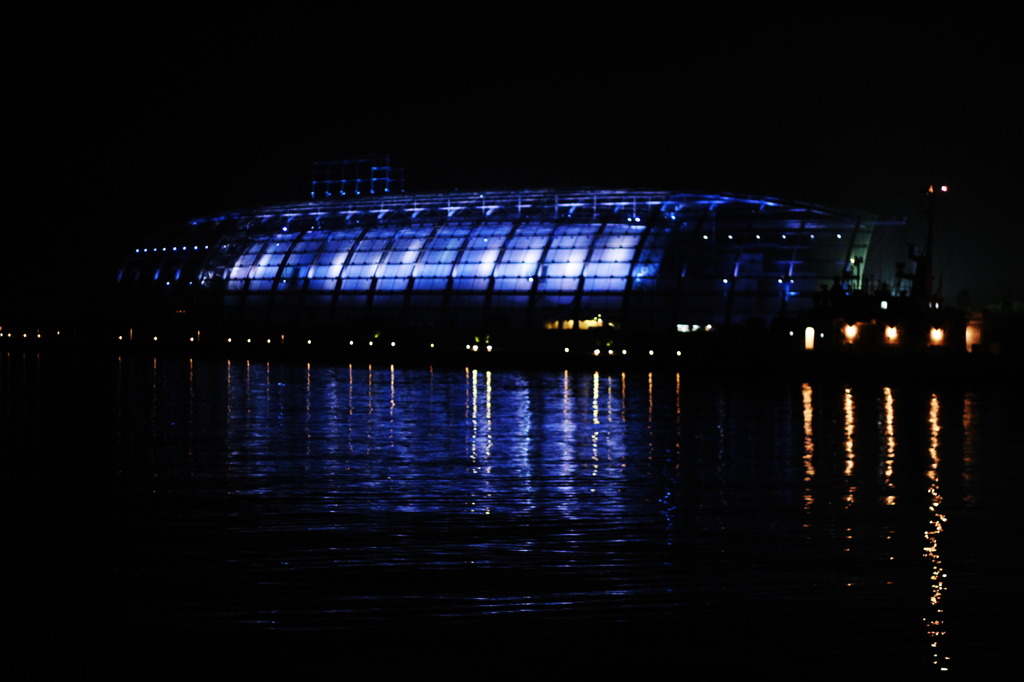 夜の水族館