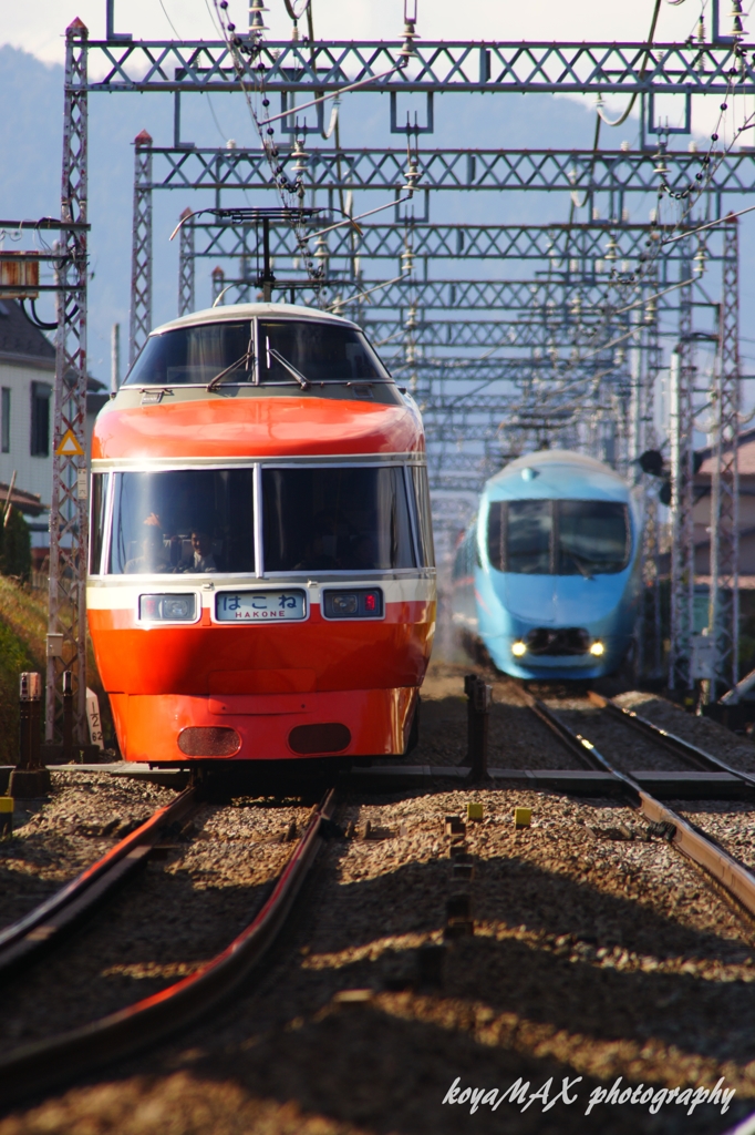 赤と青