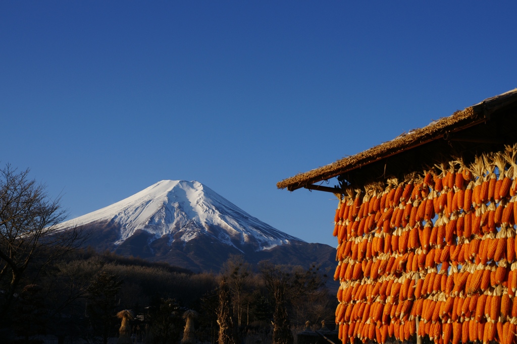 富士を飾る