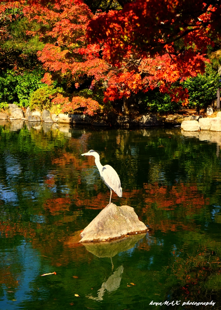 凛とする