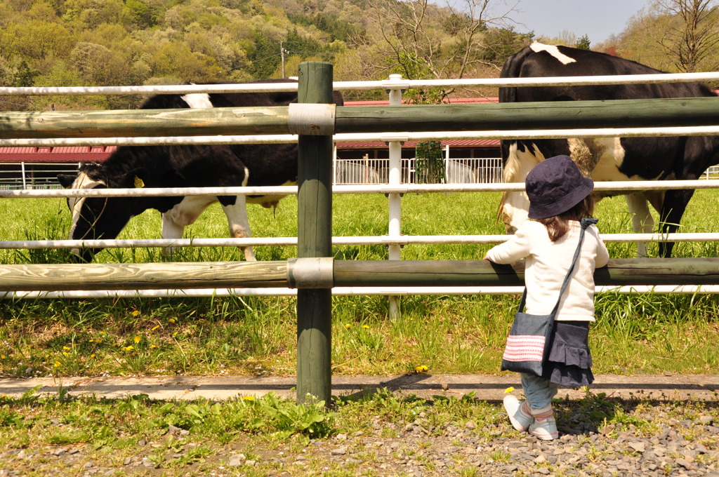 大きいな・・。