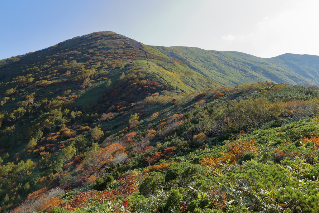 紅葉の山