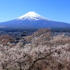 富士と桜