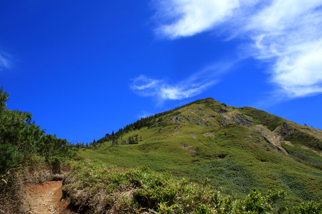 初夏の山