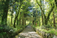 聖域