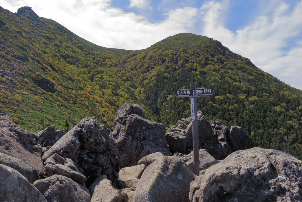 色付いた天狗の横顔
