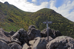 色付いた天狗の横顔