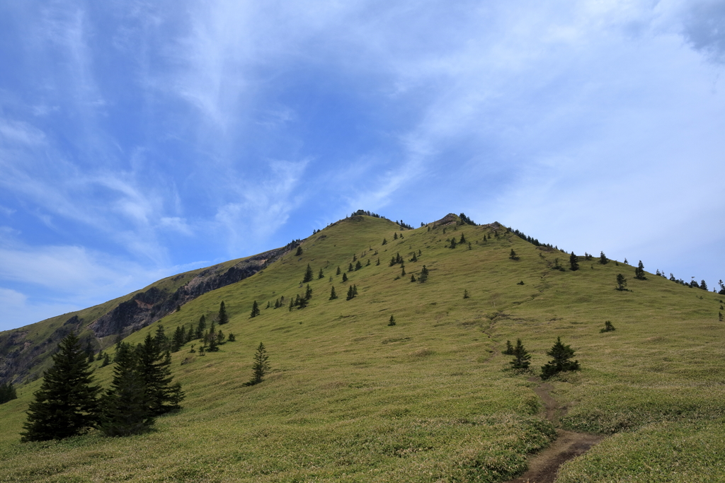気持ちのいい登山道