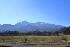 八ヶ岳