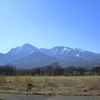 八ヶ岳