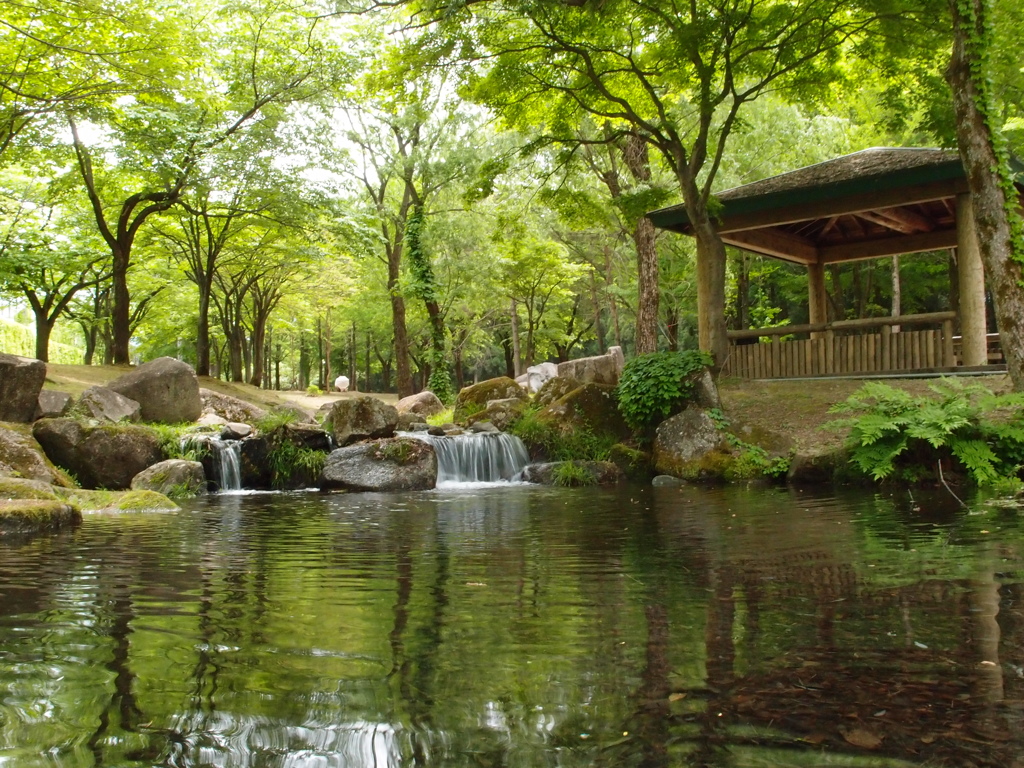 新緑の湯沢