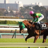 Chestnut