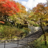 錦に染まる長谷寺