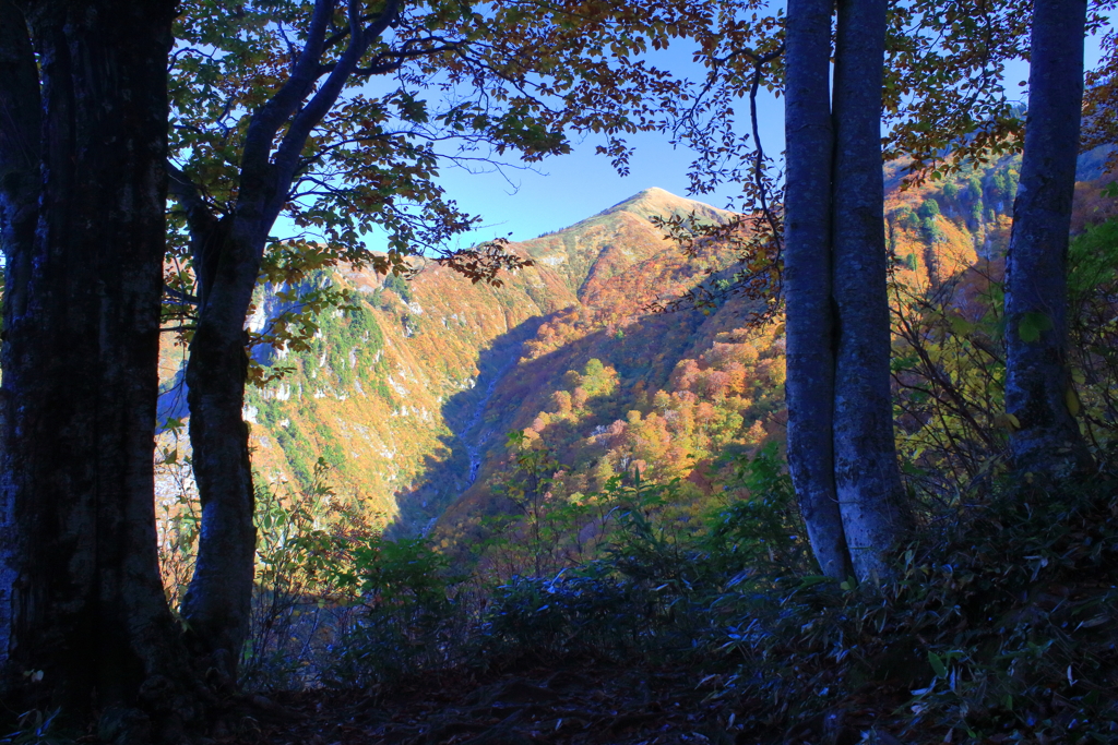 紅葉の山へ