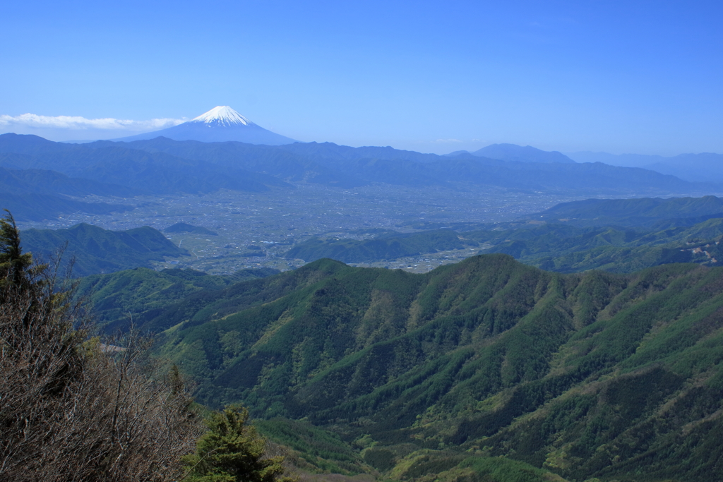 富士山の眺望を楽しむ