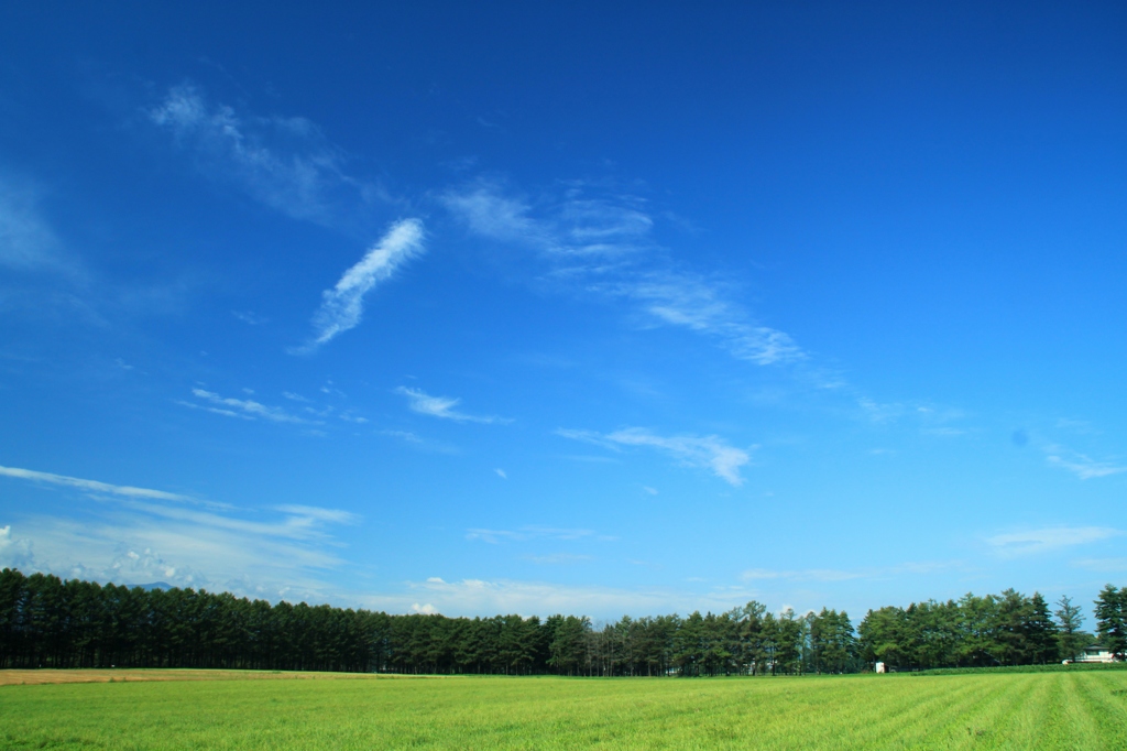 blue sky