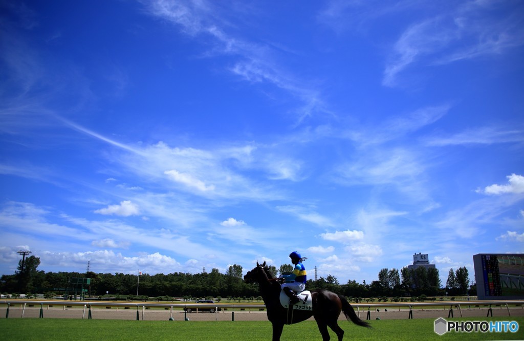 馬と騎手