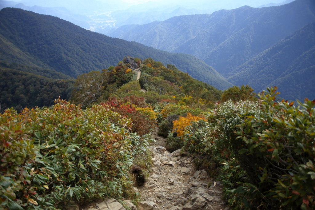 色づいた登山道