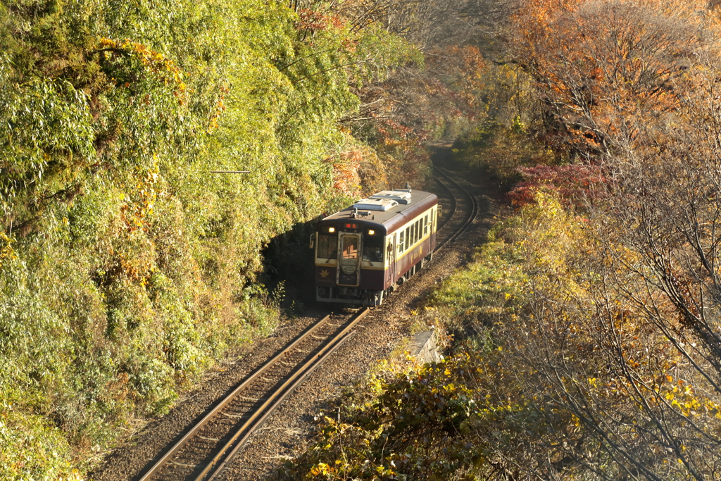 秋のわたらせ渓谷鉄道